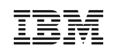 İbm Logo